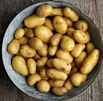 Rosated Royal Jersey Potatoes